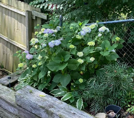 a room with sliding glass door