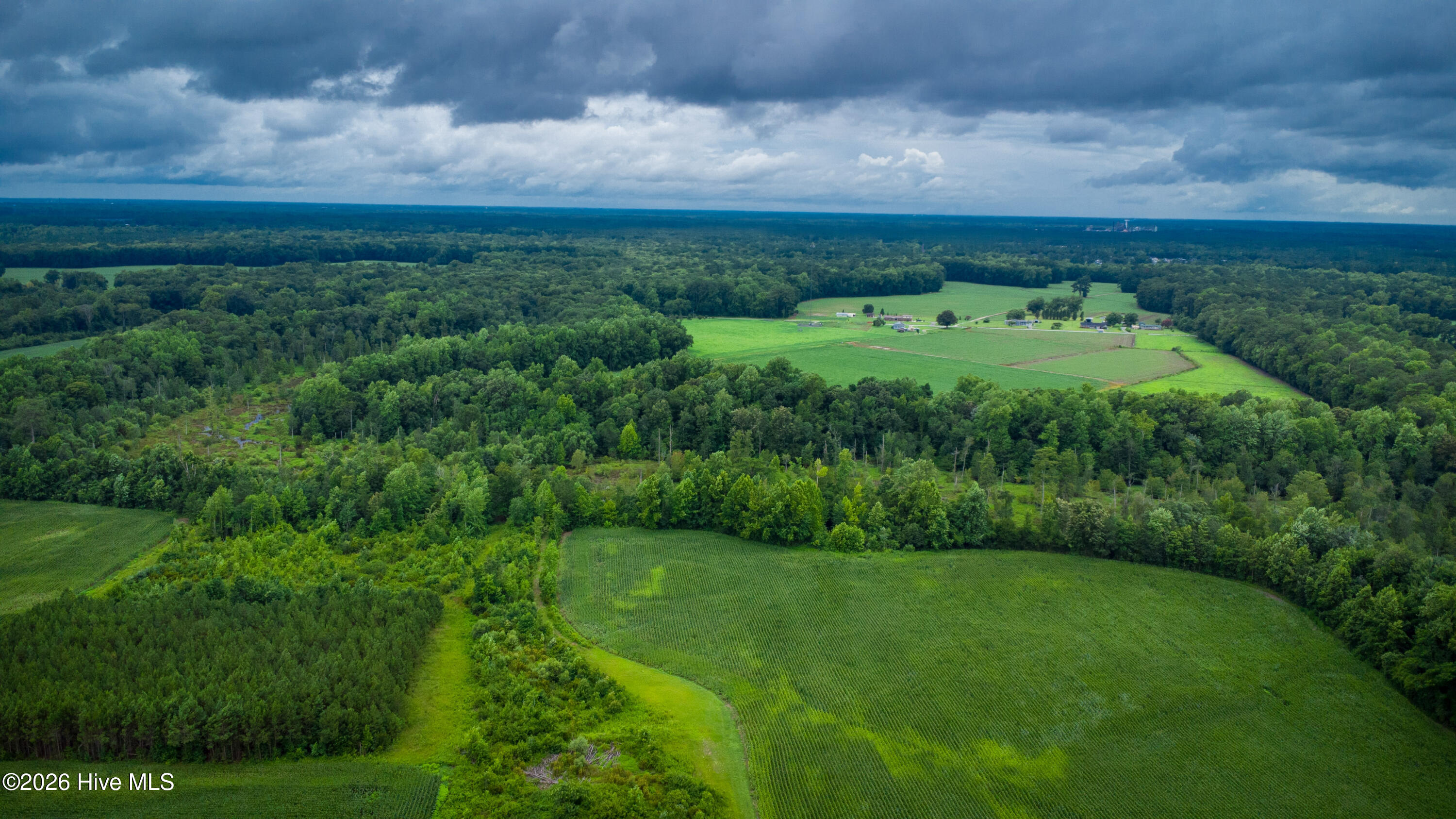 1601 Hill Neck Road Ernul, NC 28527 - Photo 17 of 33 Over 230 Acres of Opportunity
