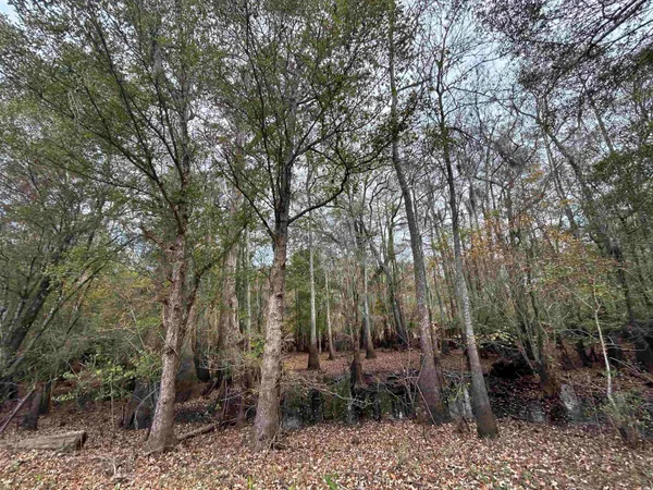 $389,000 | Tbd Parker Road, Mullins, SC 29574
