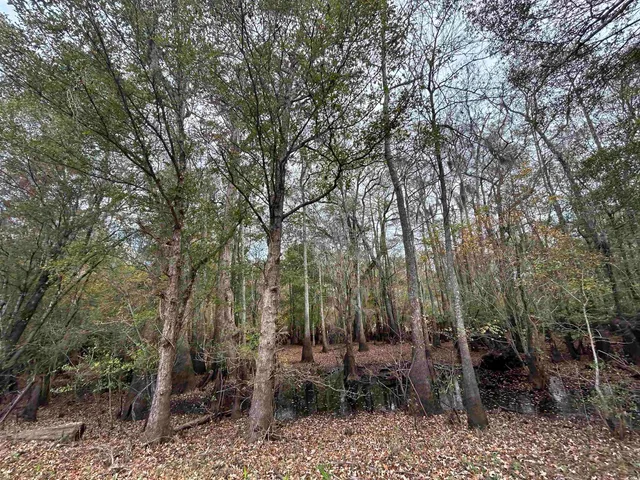 $389,000 | Tbd Parker Road, Mullins, SC 29574