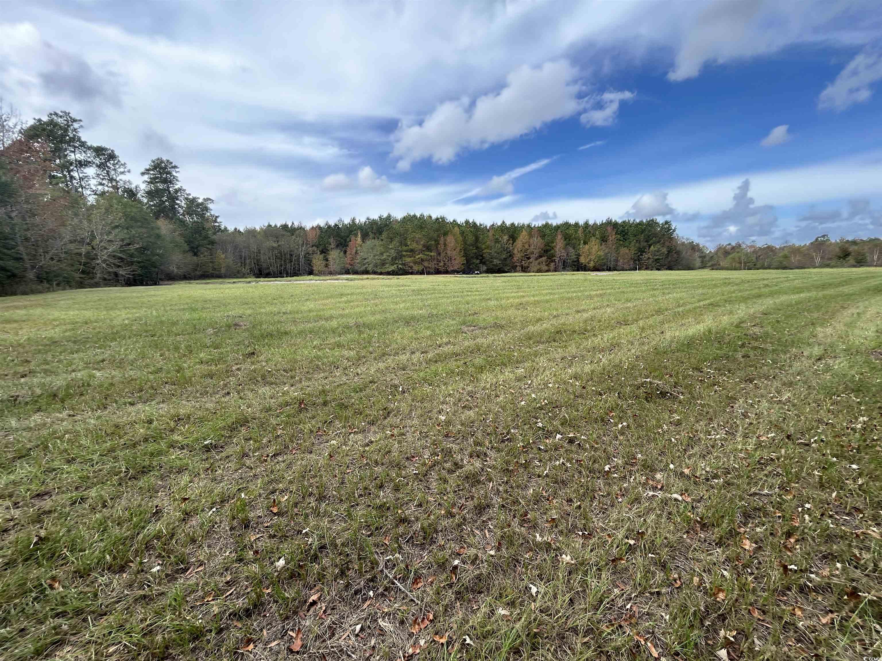 Tbd Parker Road Mullins, SC 29574 - Photo 12 of 18 View of local wilderness with a rural view