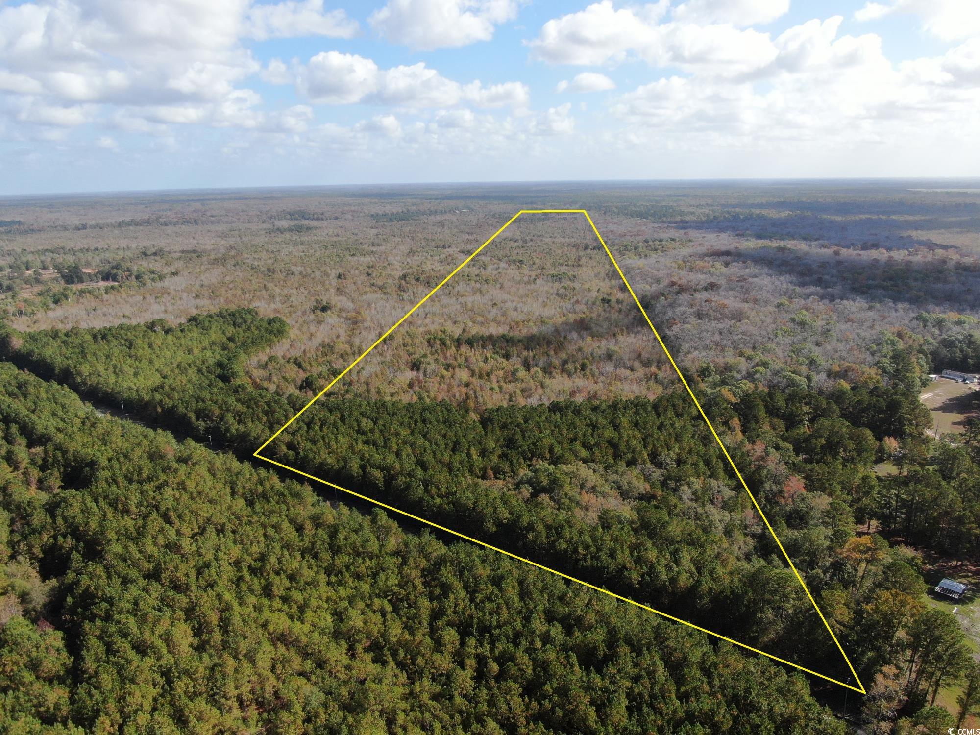 Tbd Parker Road Mullins, SC 29574 - Photo 17 of 18 Drone / aerial view