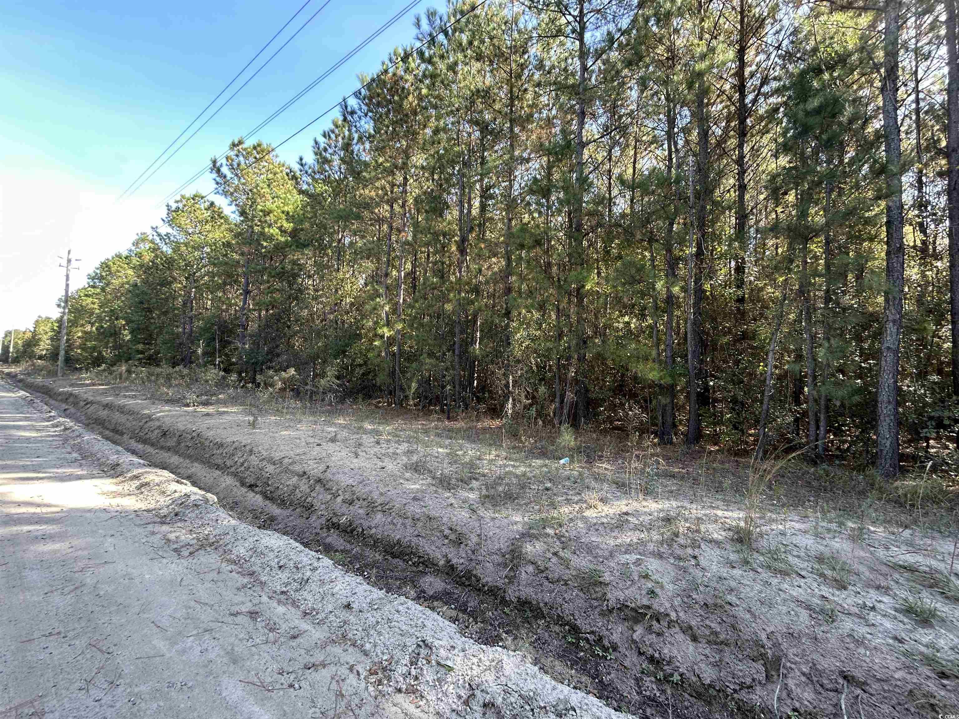 Tbd Parker Road Mullins, SC 29574 - Photo 7 of 18 View of road