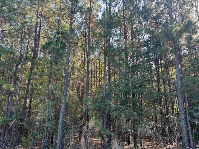 $389,000 | Tbd Parker Road, Mullins, SC 29574