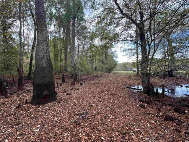 $389,000 | Tbd Parker Road, Mullins, SC 29574