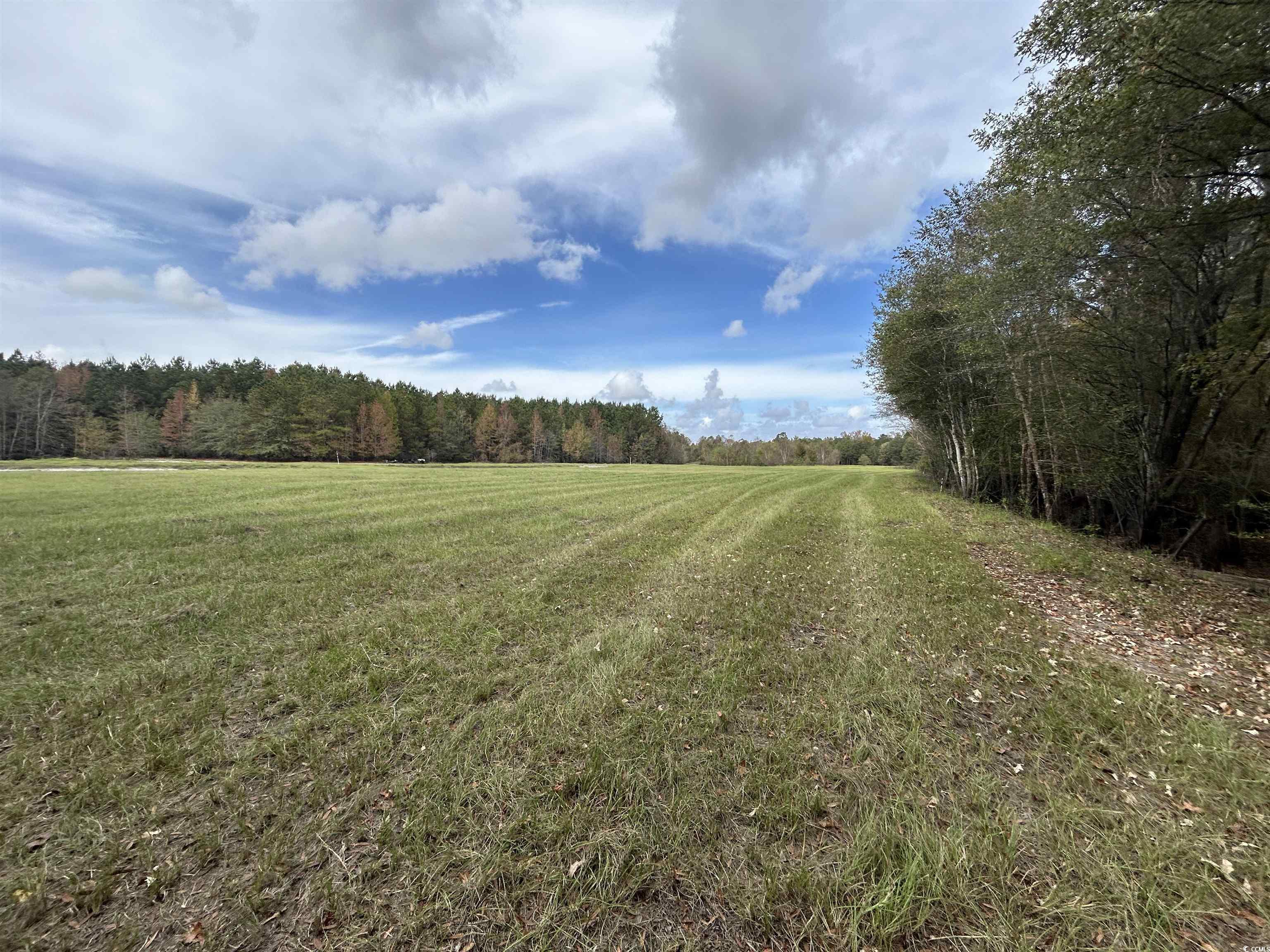 Tbd Parker Road Mullins, SC 29574 - Photo 10 of 18 View of road featuring a rural view