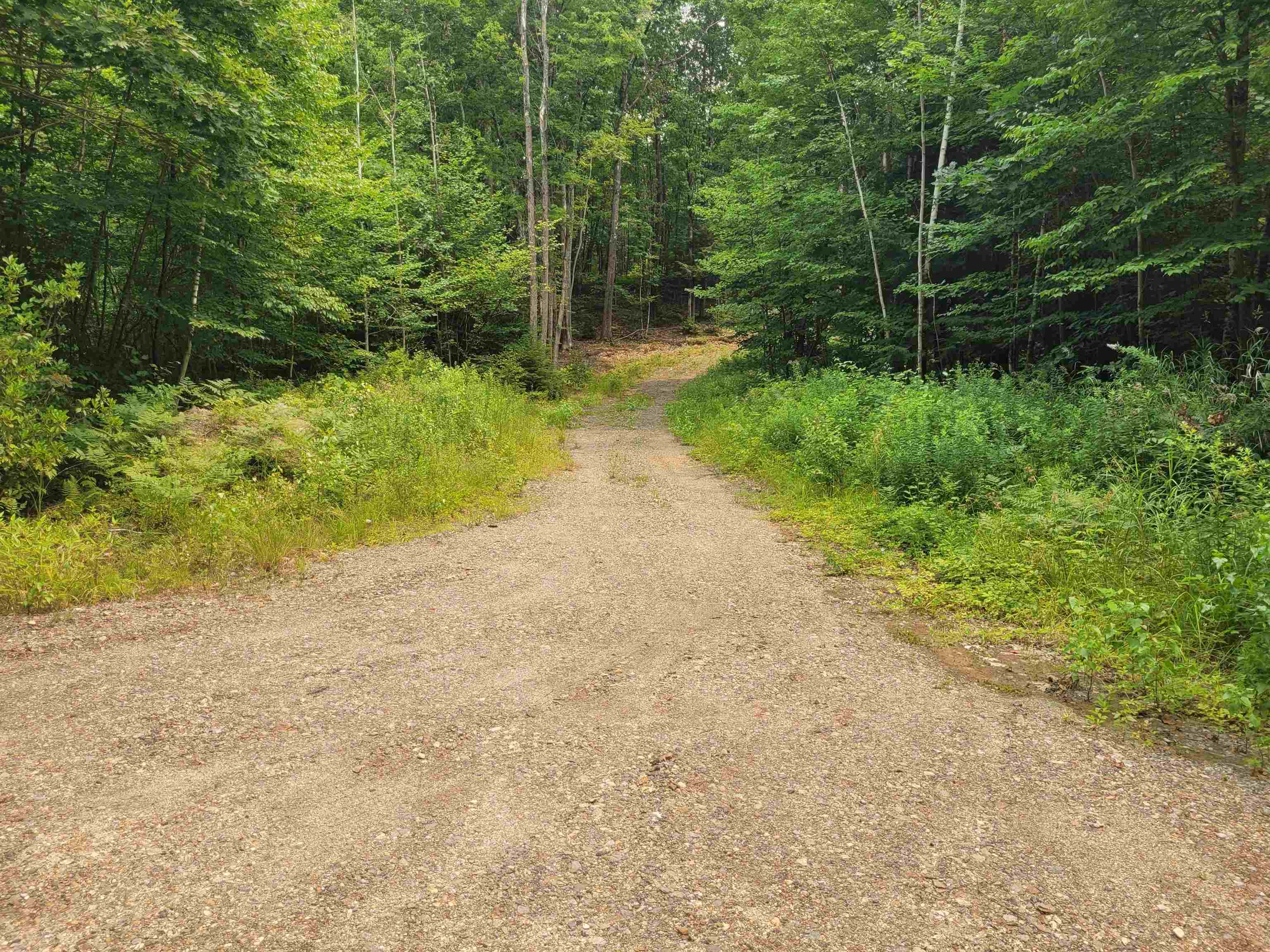 54 Fullam Pond Road Winchester, NH 03470 - Photo 6 of 6