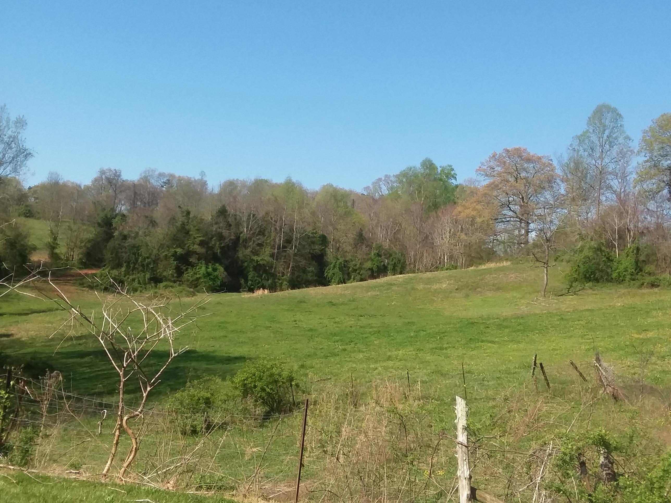 Sallings Road Plainview, TN 37721 - Photo 1 of 5 photo salling rd
