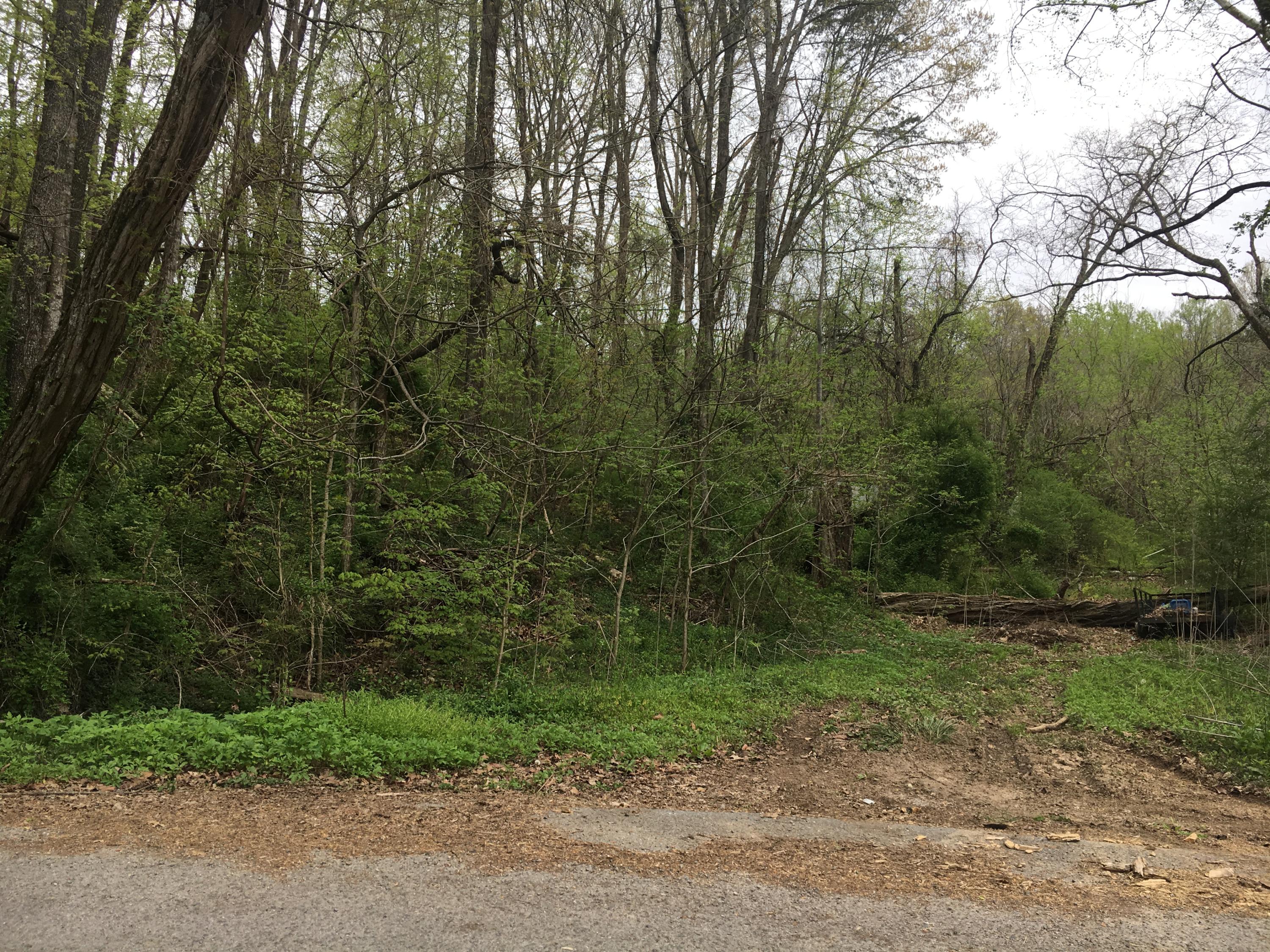 Sallings Road Plainview, TN 37721 - Photo 2 of 5 Road Bed into property