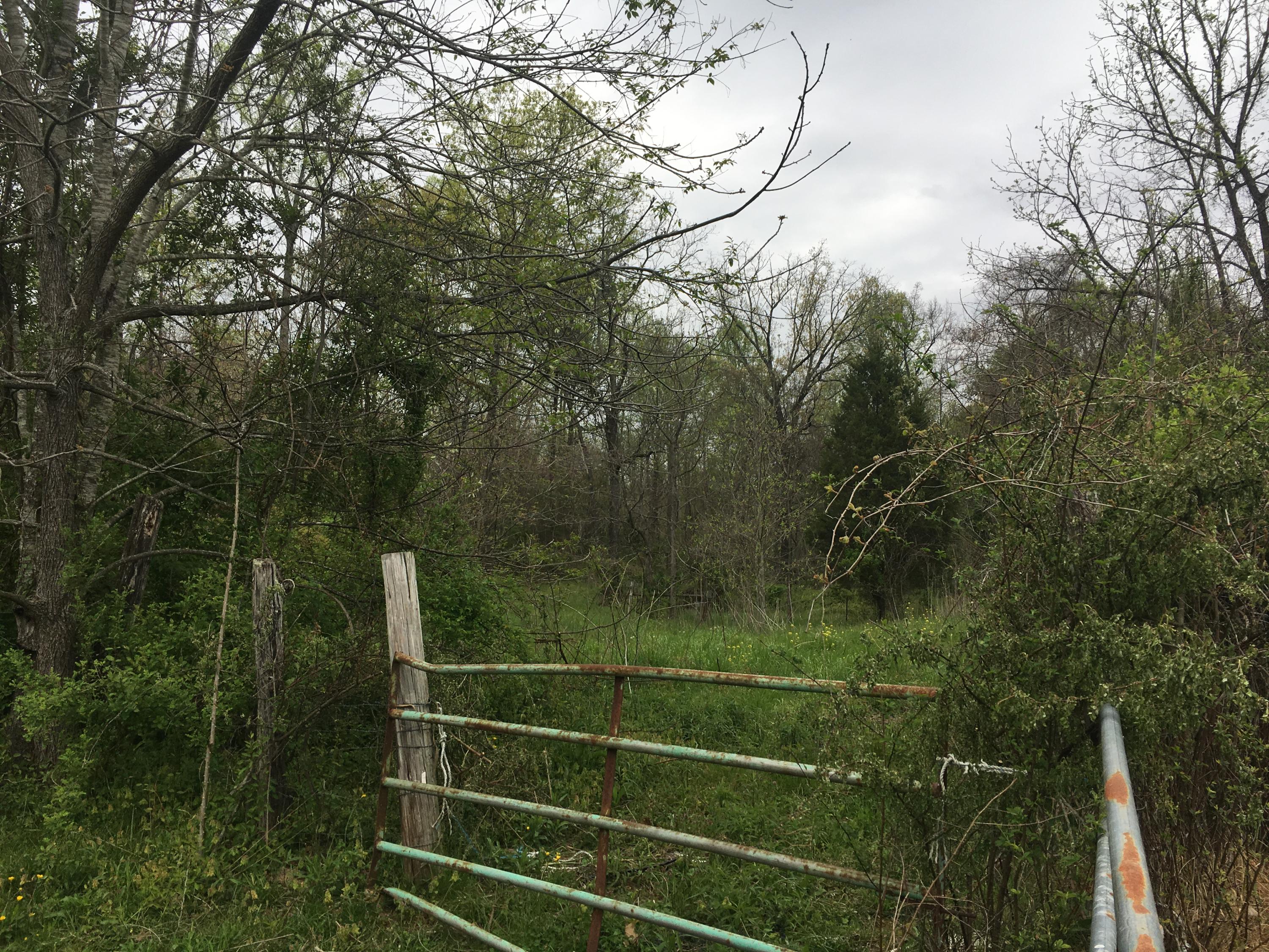 Sallings Road Plainview, TN 37721 - Photo 4 of 5 Woods