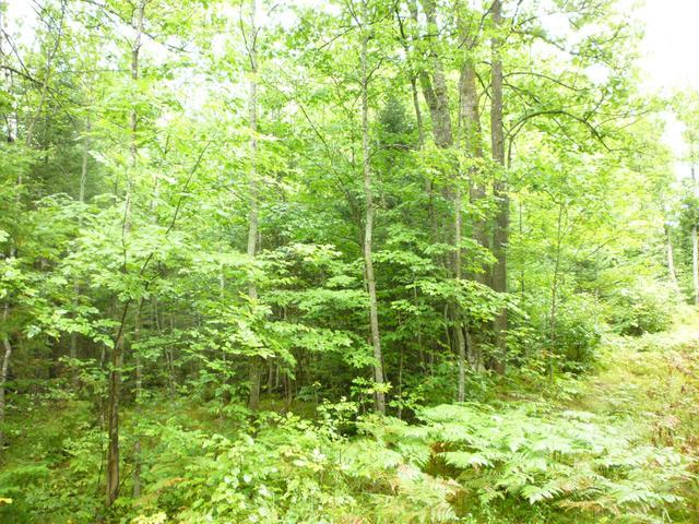 Lot 5 Murphy Lake Road Presque Isle, WI 54557 - Photo 4 of 5 Gallery Image 4