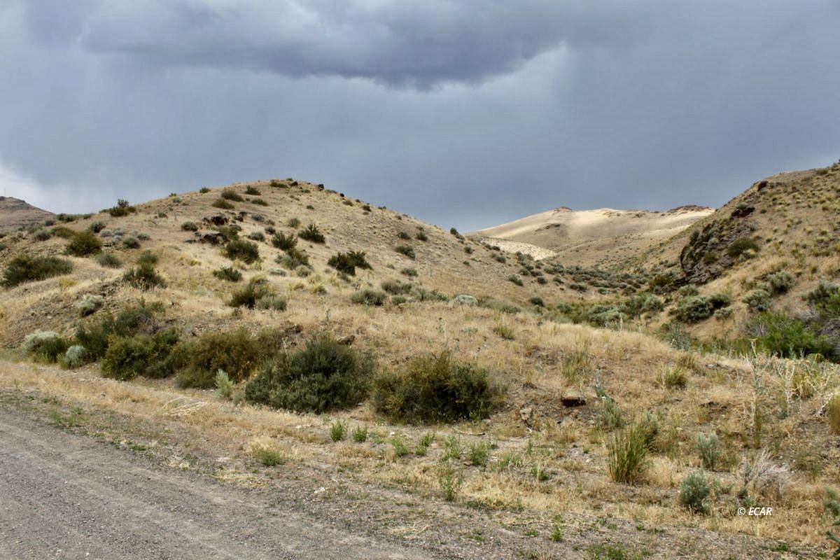 5th Street Elko, NV 89801 - Photo 12 of 20