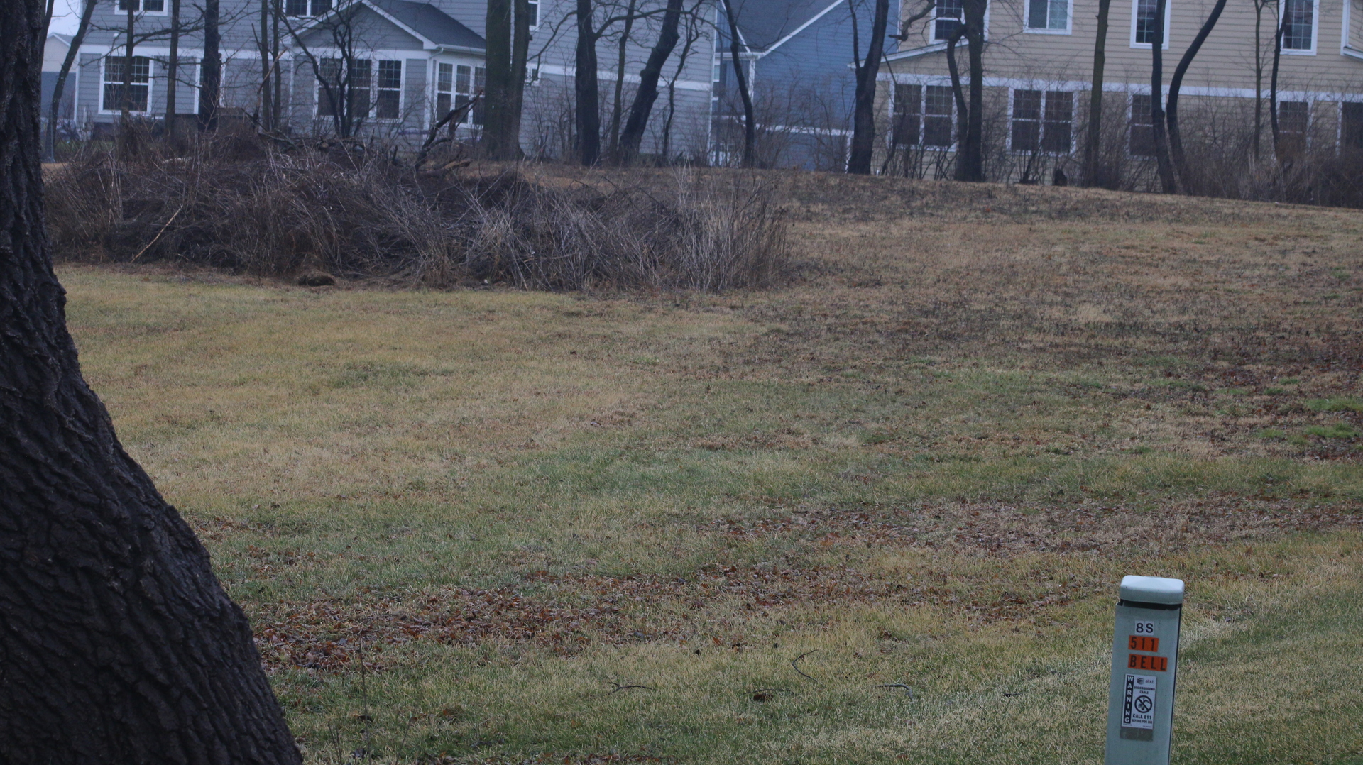 a view of a dry yard