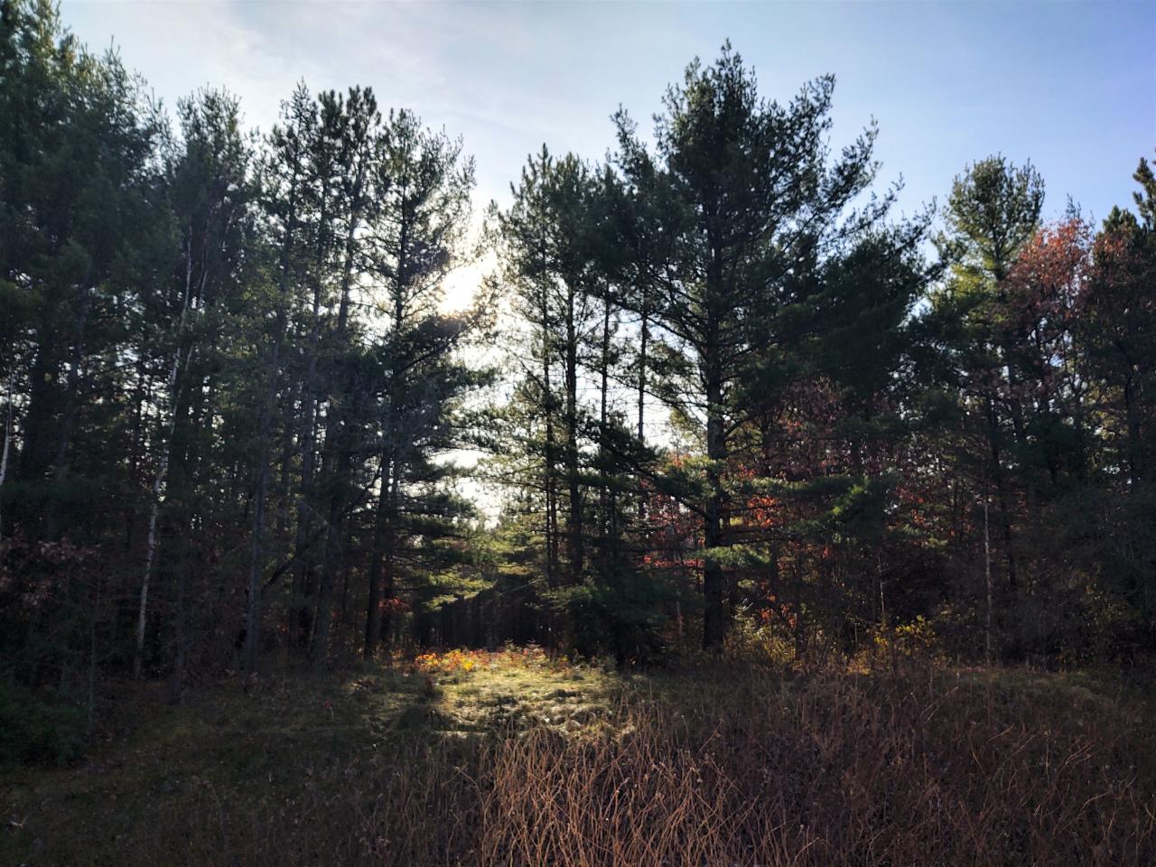 Lot #10 Ralph Lane Tomahawk, WI 54487 - Photo 22 of 22 Gallery Image 22