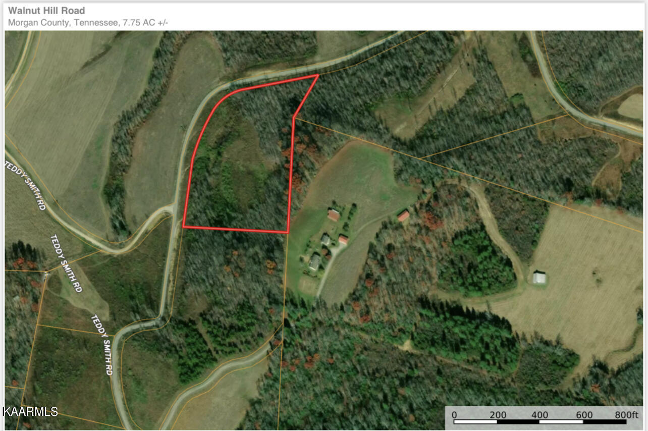 Walnut Hill Road Road Lancing, TN 37770 - Photo 2 of 4 IMG_7140
