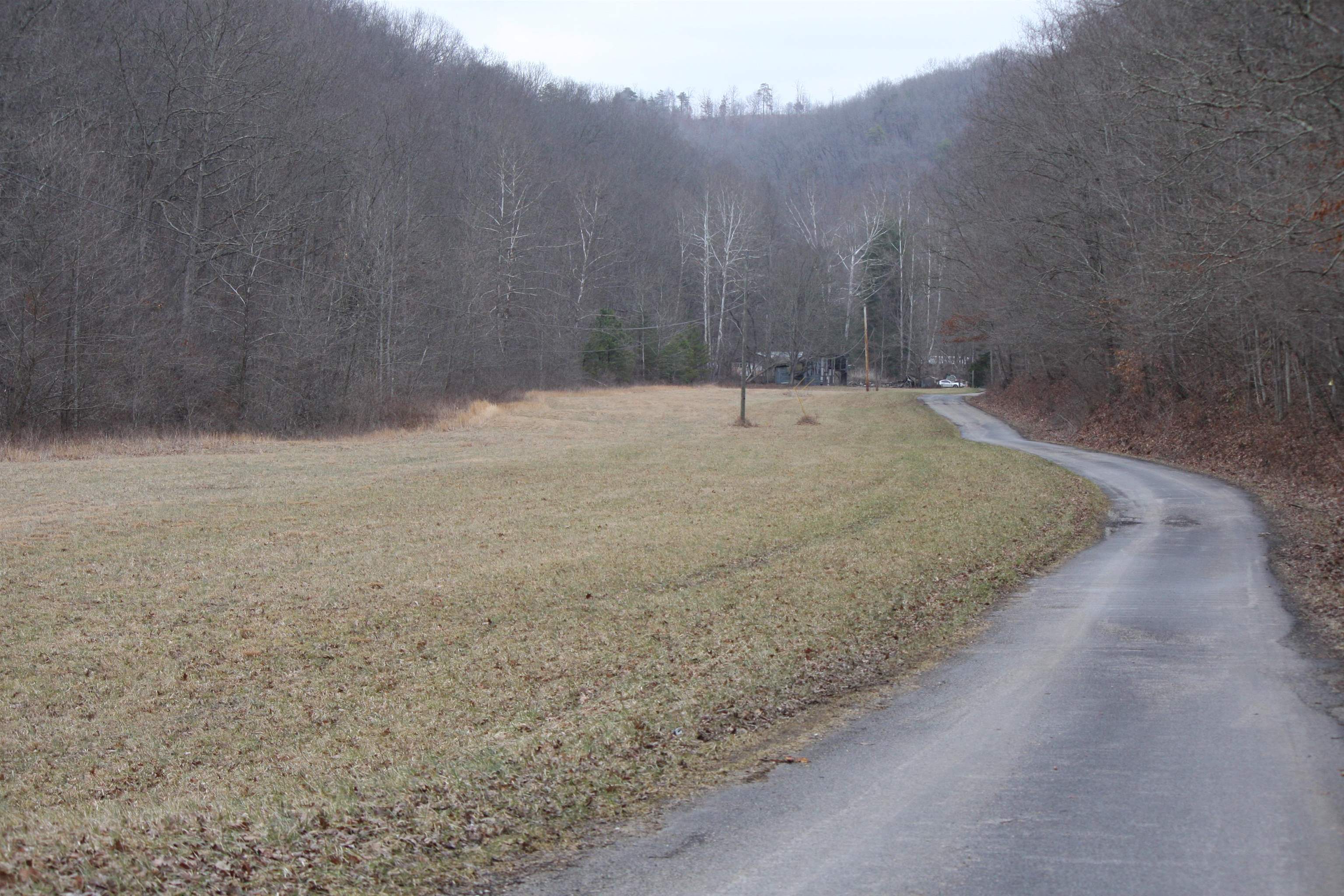 Boone Branch Road Garrison, KY 41141 - Photo 6 of 19