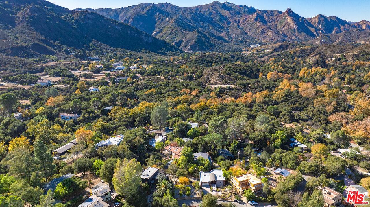 614 Reithe Avenue Calabasas, CA 91302 - Photo 11 of 11 a view of a tree in a yard