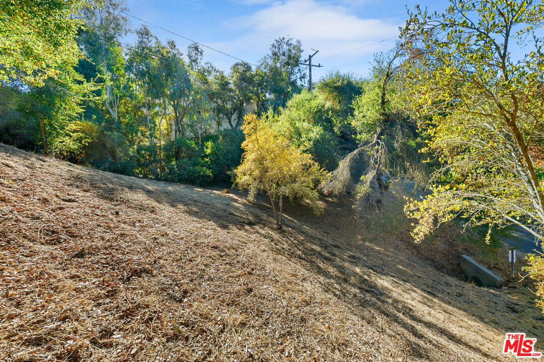 614 Reithe Avenue Calabasas, CA 91302 - Photo 6 of 11 a view of a yard with plants and large trees
