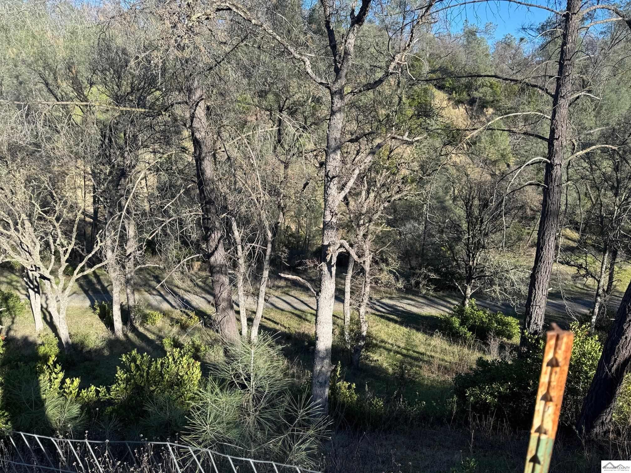16015 Apache Trail Corning, CA 96021 - Photo 3 of 21