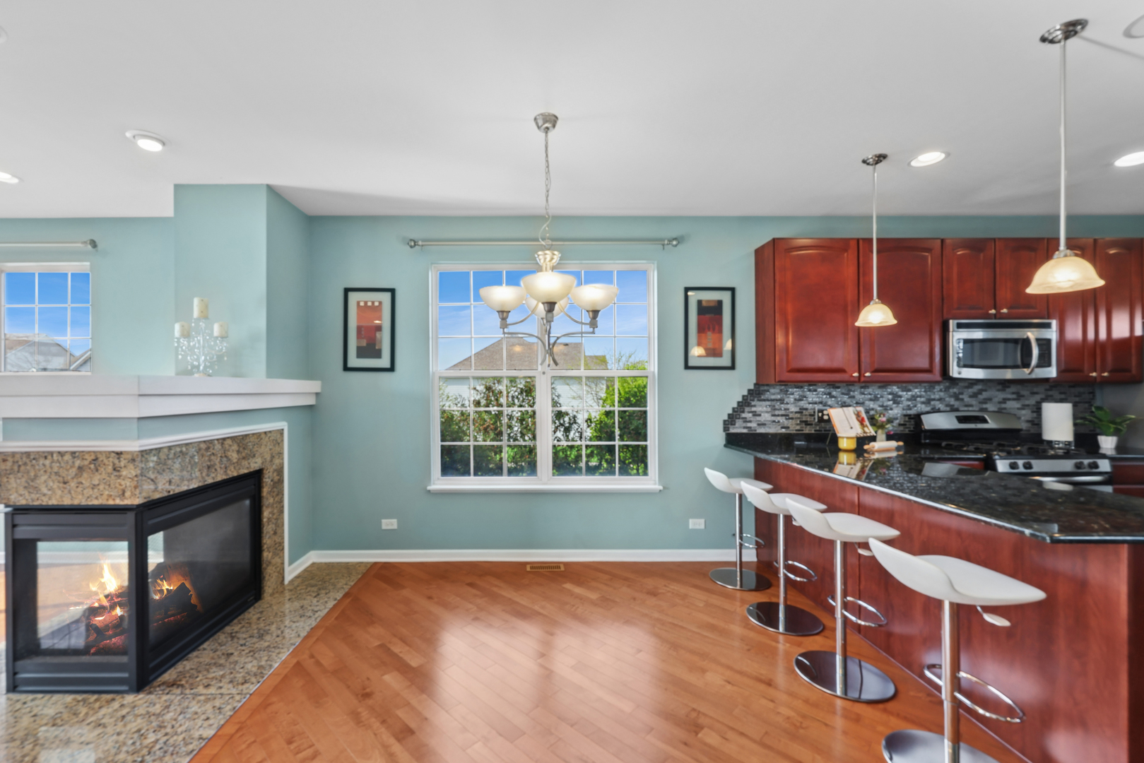 1009 Alberta Road Elgin, IL 60124 - Photo 5 of 20