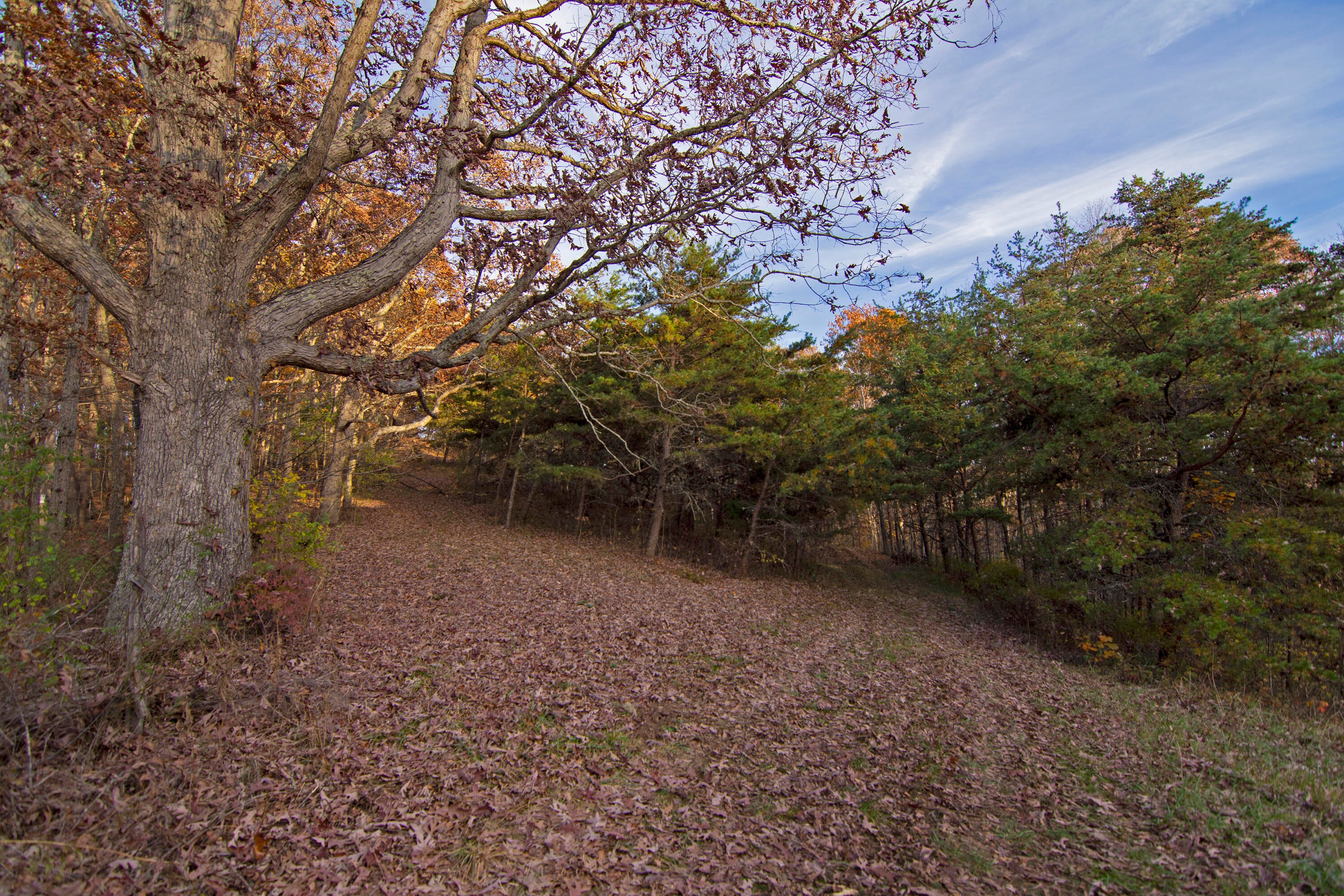 1528 Low Gap Church Road Hinton, WV 25951 - Photo 42 of 52 Gallery Image 42