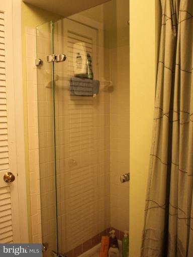 11005 Thrush Ridge Road Reston, VA 20191 - Photo 14 of 21 Bath (Master)