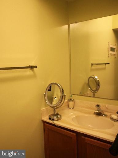 11005 Thrush Ridge Road Reston, VA 20191 - Photo 3 of 21 Bath (Master)