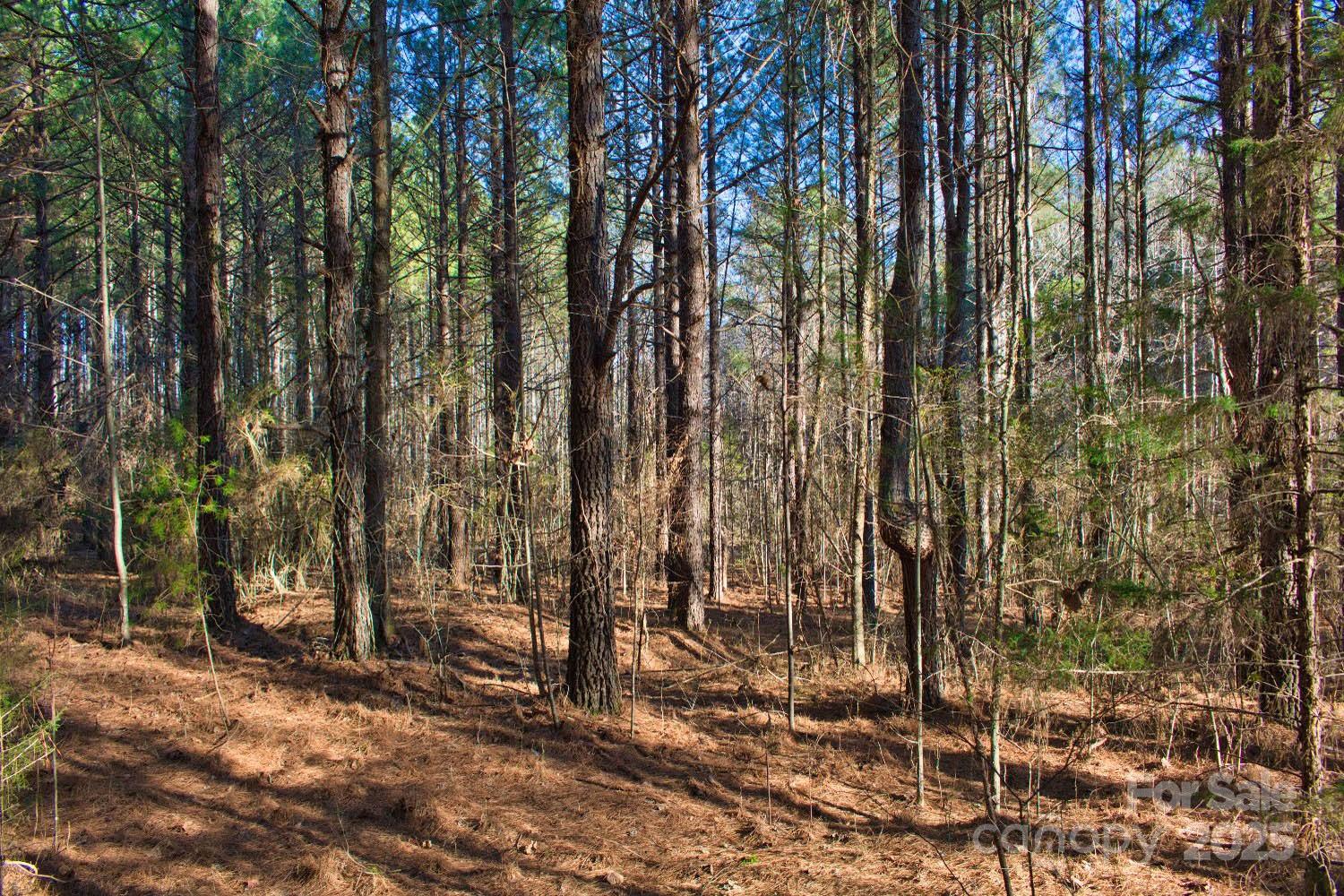 0 Clearwater Parkway, Unit 209 Rutherfordton, NC 28139 - Photo 4 of 6