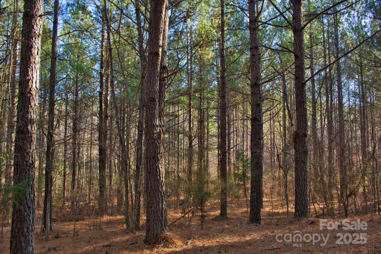 0 Clearwater Parkway, Unit 209 Rutherfordton, NC 28139 - Photo 5 of 6