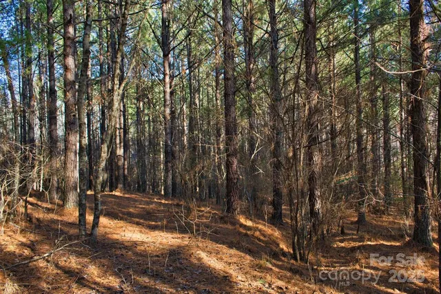 $42,900 | 0 Clearwater Parkway, Unit 209, Rutherfordton, NC 28139