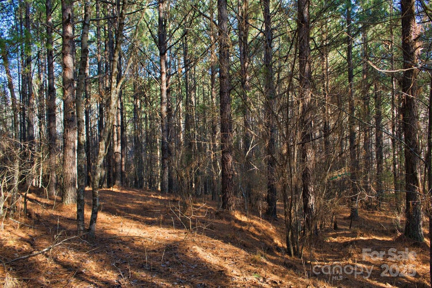 0 Clearwater Parkway, Unit 209 Rutherfordton, NC 28139 - Photo 6 of 6
