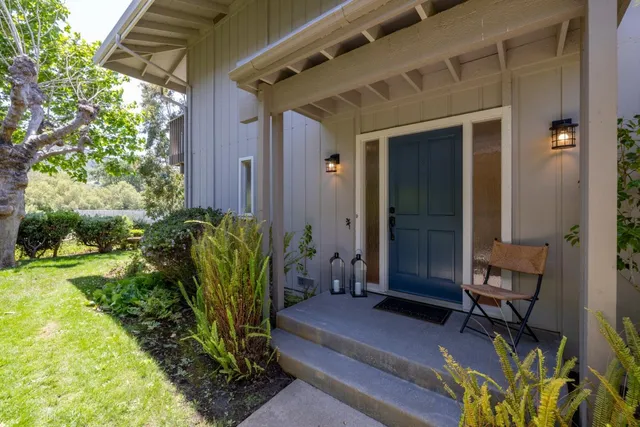 a view of backyard with outdoor seating and plants