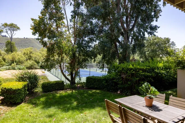 a plant in front of house with wooden fence