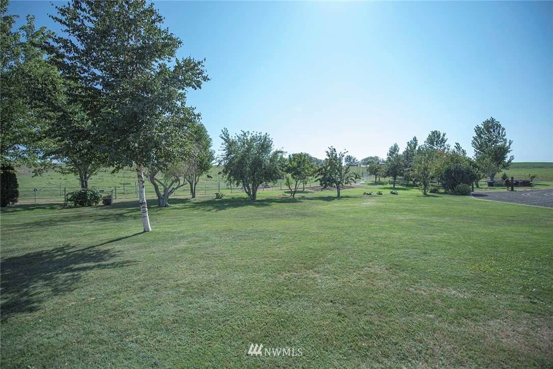 7483 Frog Hollow Road Touchet, WA 99360 - Photo 23 of 25 a view of a green field