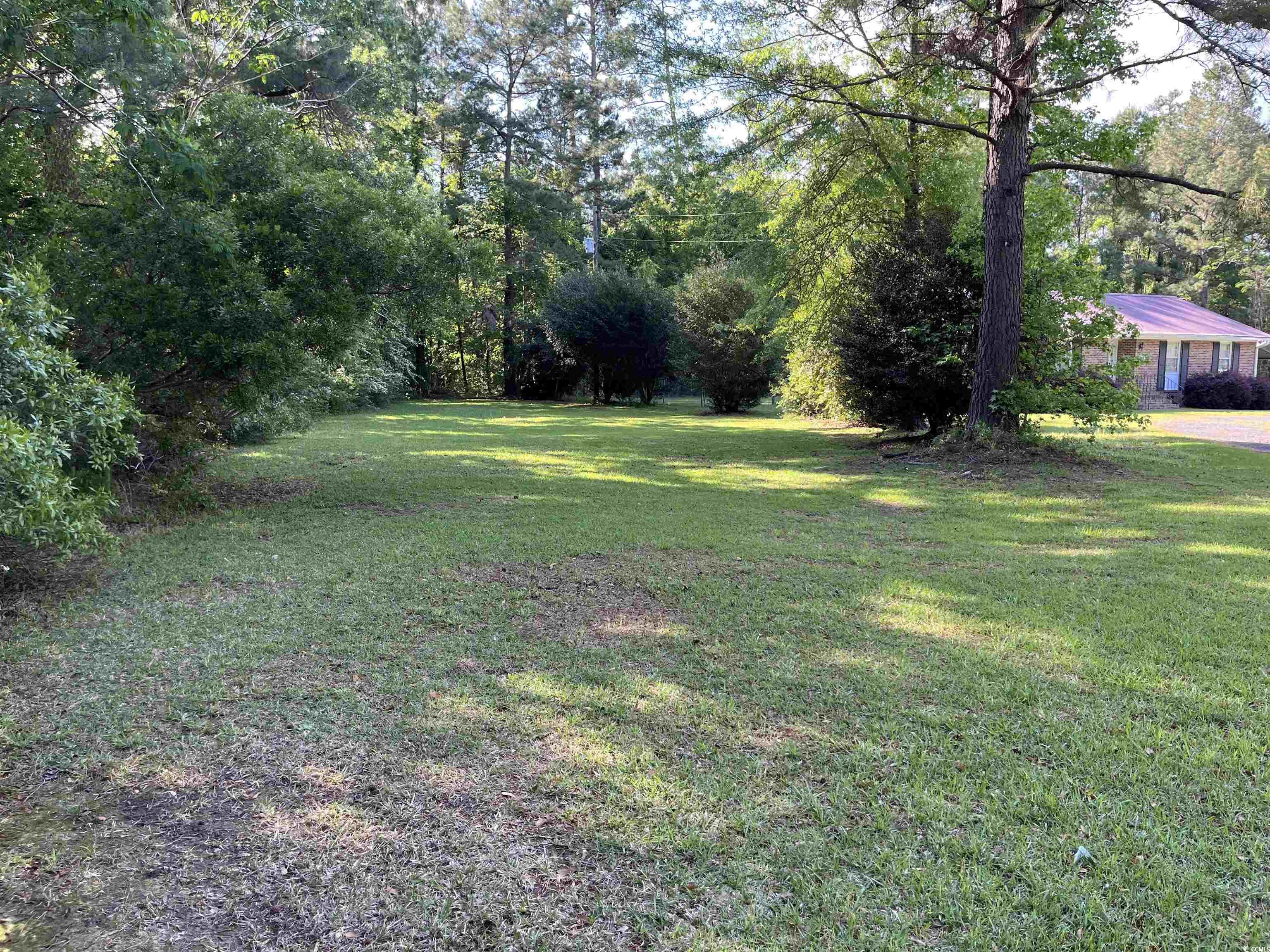 9835 County Line Road Hemingway, SC 29554 - Photo 3 of 12