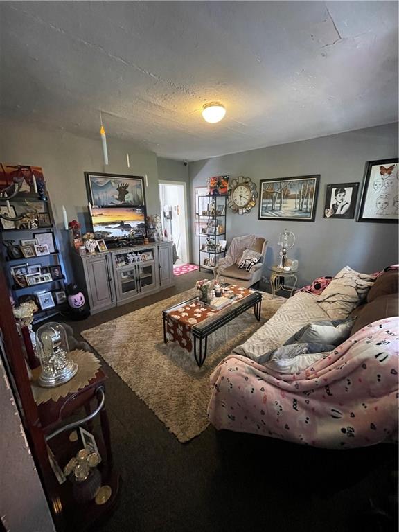 14 Sprain Street Pittsburgh, PA 15212 - Photo 5 of 20 a living room with furniture and a flat screen tv