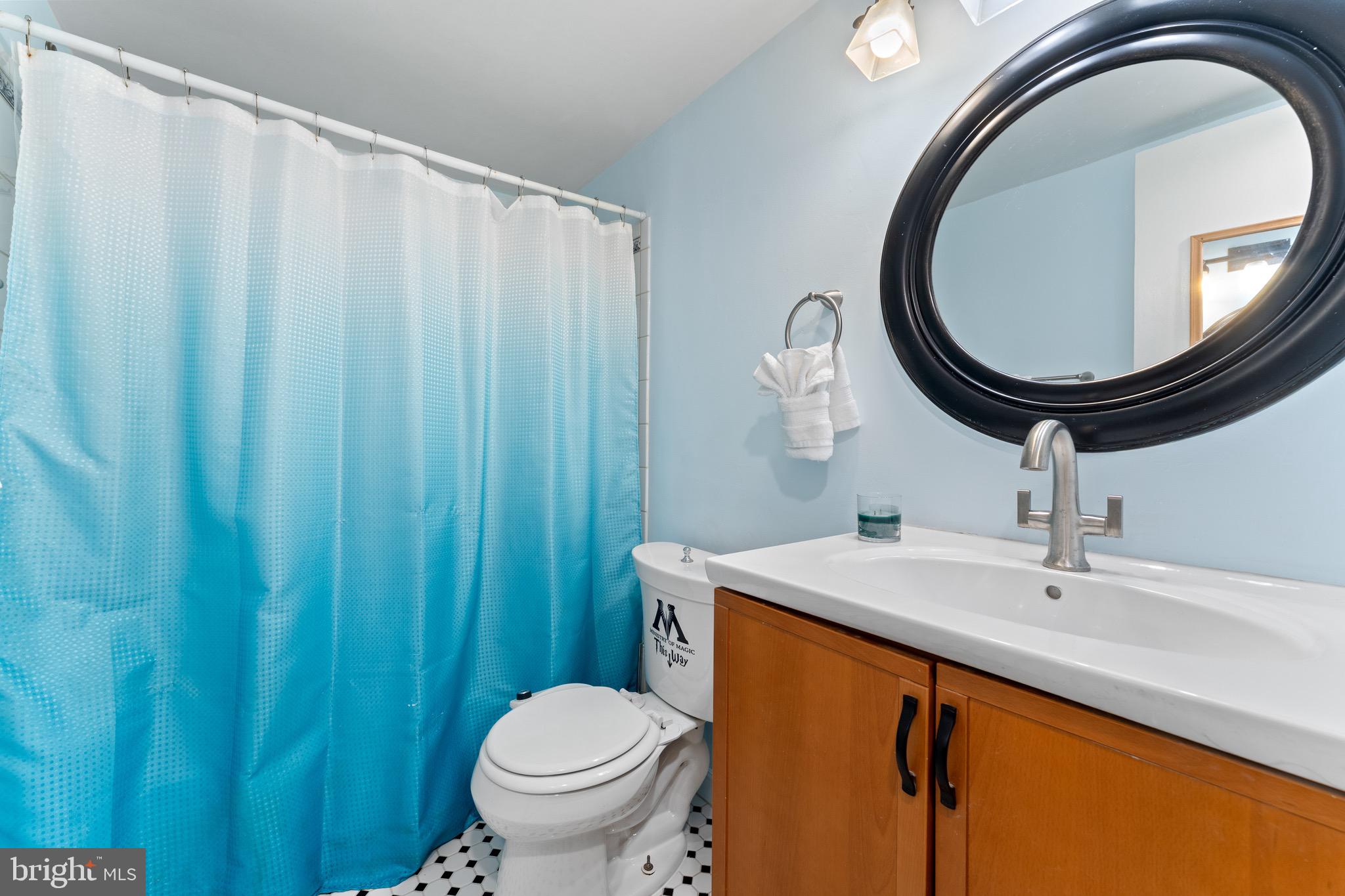 11617 Windbluff Court, Unit 9B Reston, VA 20191 - Photo 32 of 46 Primary bathroom