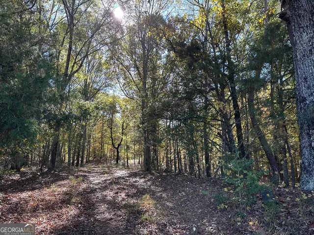 $75,000 | 2050 Luther Bailey Road, Senoia, GA 30276