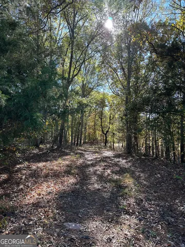 $75,000 | 2050 Luther Bailey Road, Senoia, GA 30276