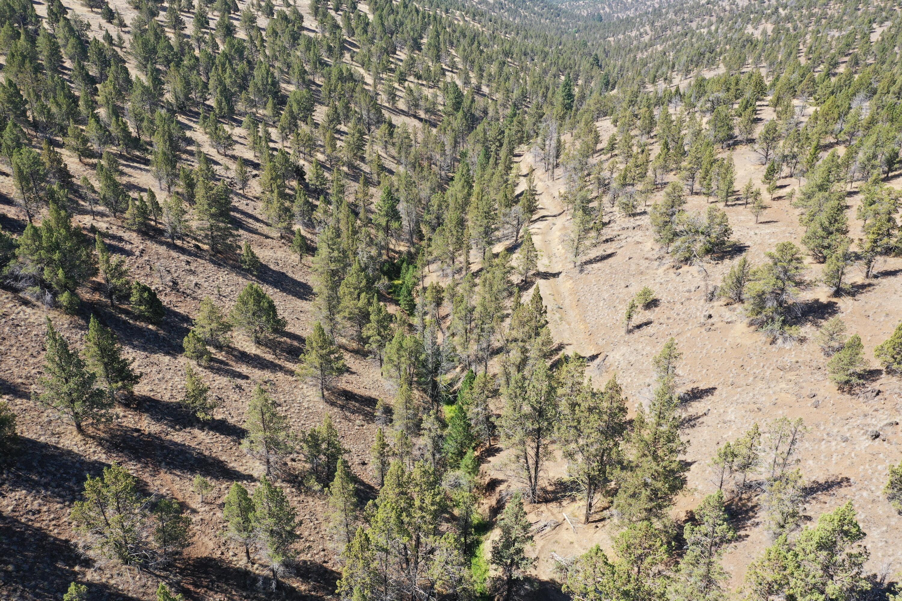 2400 Wiley Creek Road Mount Vernon, OR 97865 - Photo 30 of 34 DJI_0393