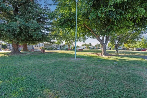 a view of yard with green space and trees