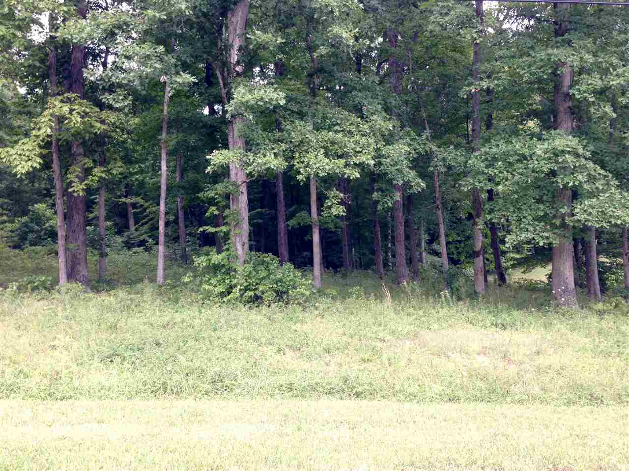 0 North Pinewood Bedford, IN 47421 - Photo 1 of 1 Gallery Image 1