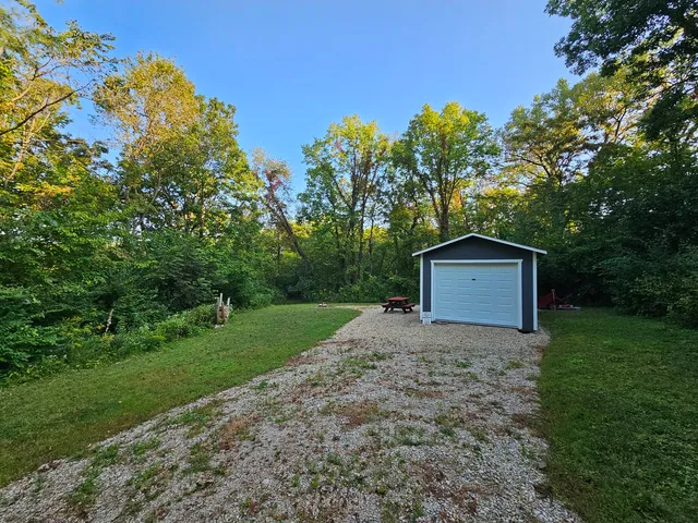 a road view with large trees