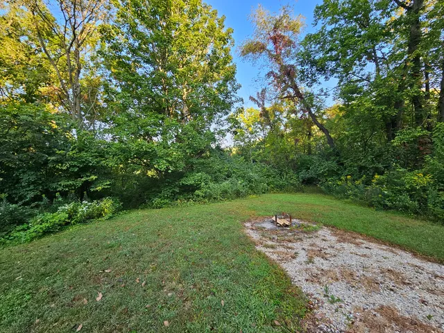 a view of a park with large trees