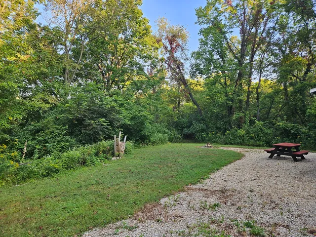 a view of a park with large trees