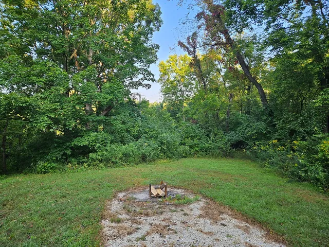 a view of a yard with plants