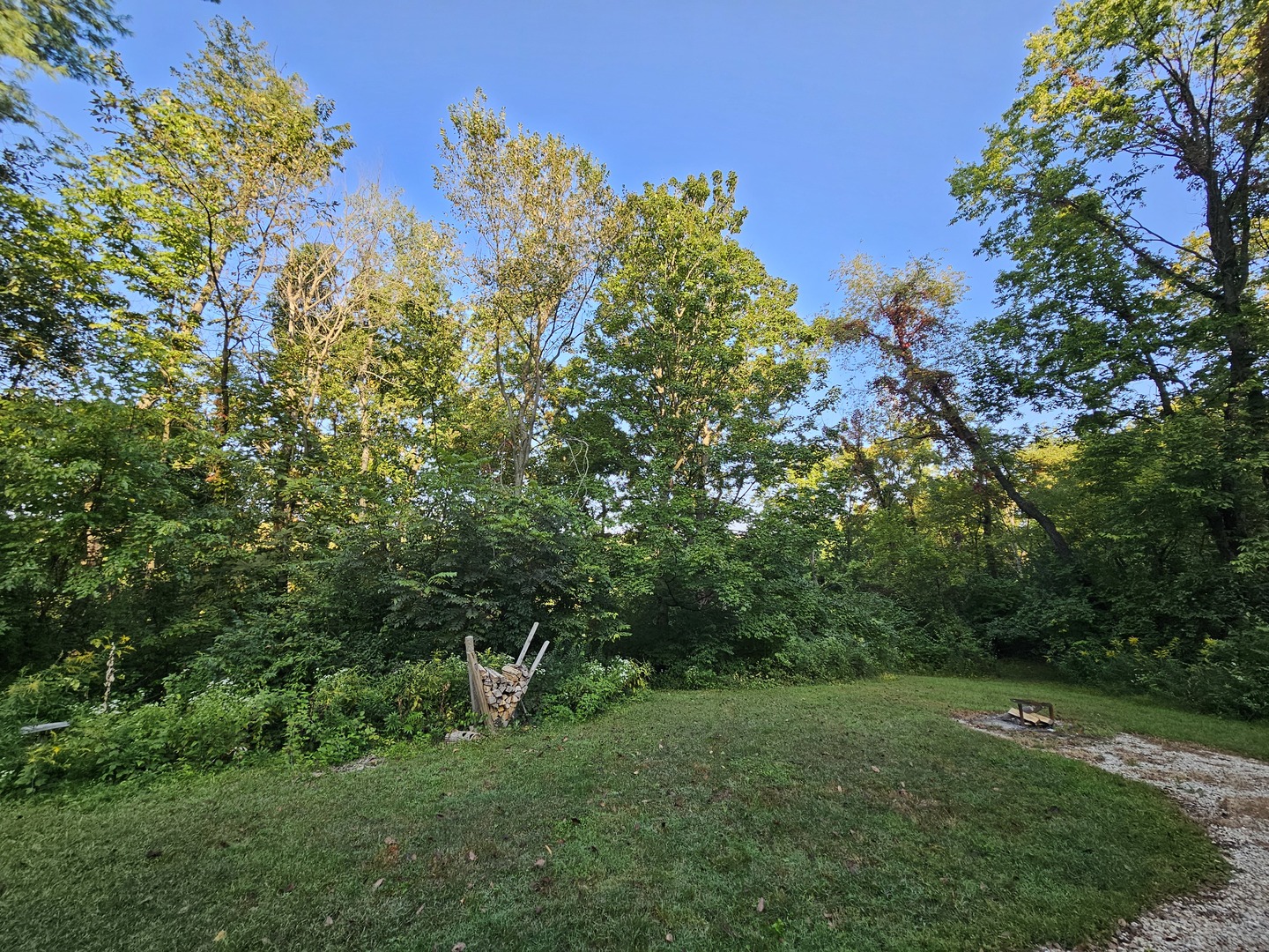 1982 North 3103rd Road Ottawa, IL 61350 - Photo 8 of 8 a view of a large yard with lots of green space