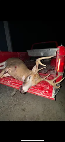 $799,900 | 11-tbd 630th Street, Claremont, MN 55924