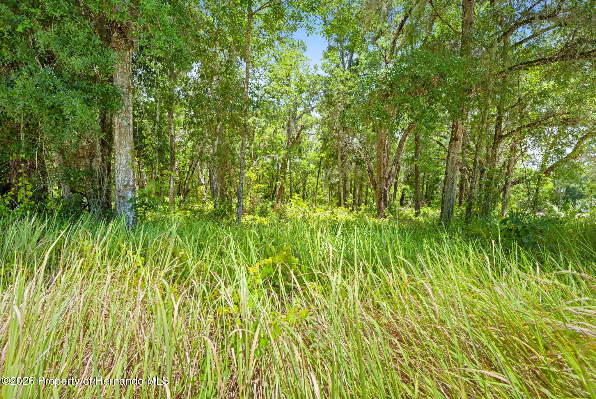 0 Ricebird Avenue Weeki Wachee, FL 34614 - Photo 25 of 26