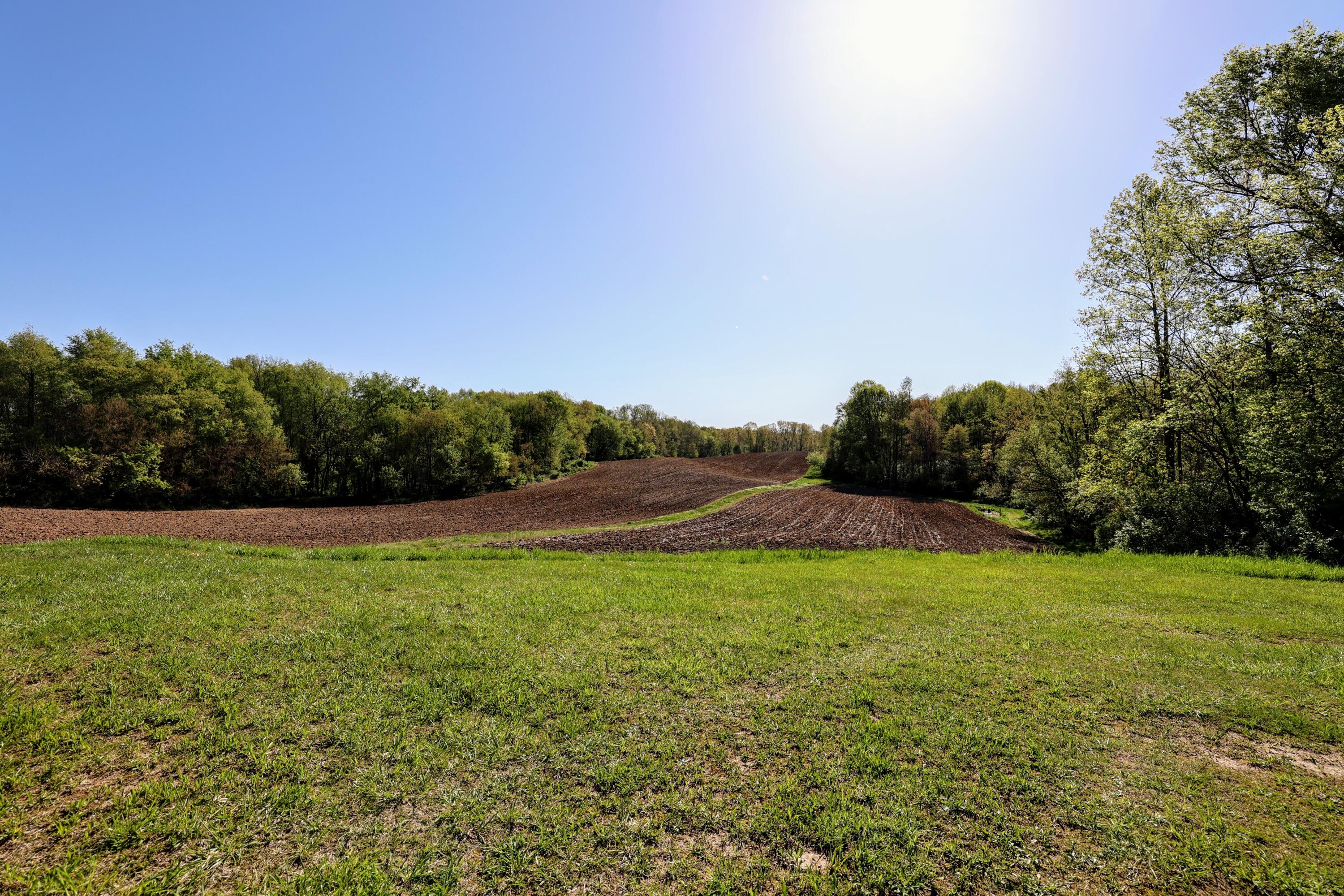 50835 Decatur Road Decatur, MI 49045 - Photo 24 of 74 24